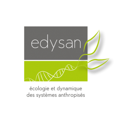 logotype_edysan_FINAL_COM_MD-01-600x600