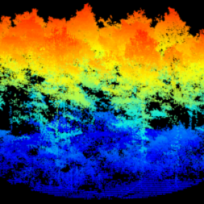 Extrait du nuage de points issus du Vx-20 sur drone (le gradient de couleurs correspond à la valeur de hauteurs des points sur 16 m autour du centre de la placette HET 30 du réseau RENECOFOR) (extraction : Sylvie Durrieu)